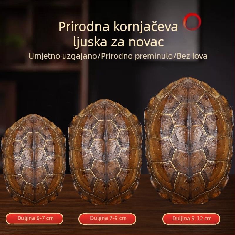 Qianlong bakreni novčić s šest hexagrama, alat za proricanje, viseći ručni privjesak, kućna dekoracija, prirodna školjka kornjače