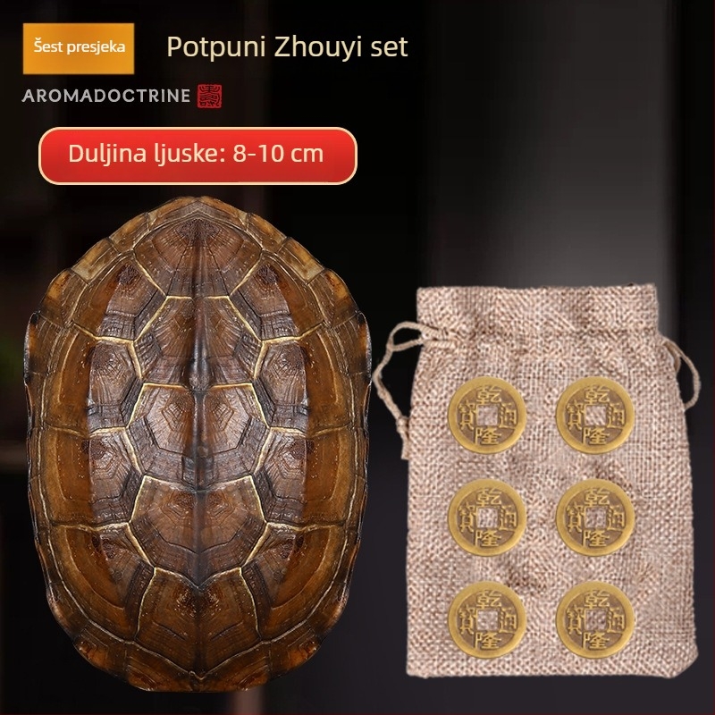 Qianlong bakreni novčić s šest hexagrama, alat za proricanje, viseći ručni privjesak, kućna dekoracija, prirodna školjka kornjače