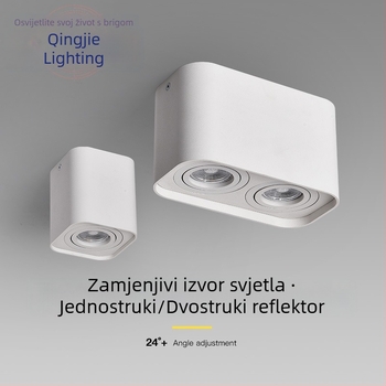 Dvojno GU10 stropno LED svjetlo, dnevni boravak, podesiv kut snopa