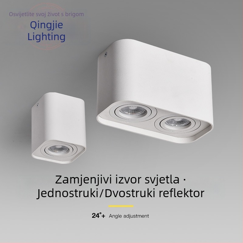 Dvojno GU10 stropno LED svjetlo, dnevni boravak, podesiv kut snopa