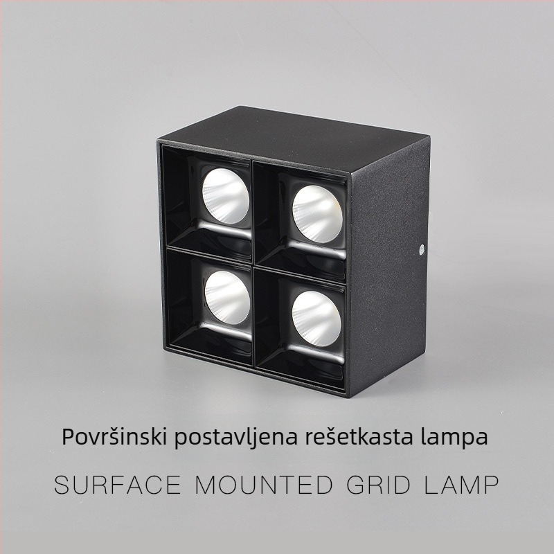 LED dvostruko glavna površinska downlight za dnevni boravak, 4-glava cilindrična kutija s rešetkom, pametno prigušivanje