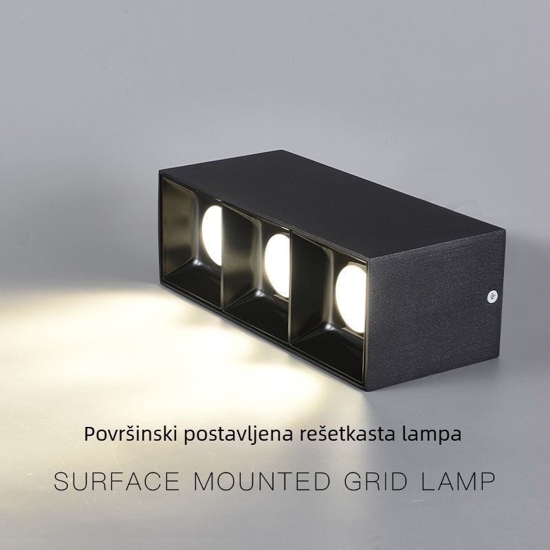 LED dvostruko glavna površinska downlight za dnevni boravak, 4-glava cilindrična kutija s rešetkom, pametno prigušivanje