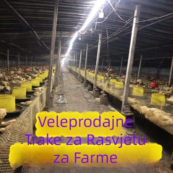 LED traka, niskonaponska 24–36 V, vanjsko osvjetljenje za tunele, garaže, rudnike i podrume, duljina 100 m