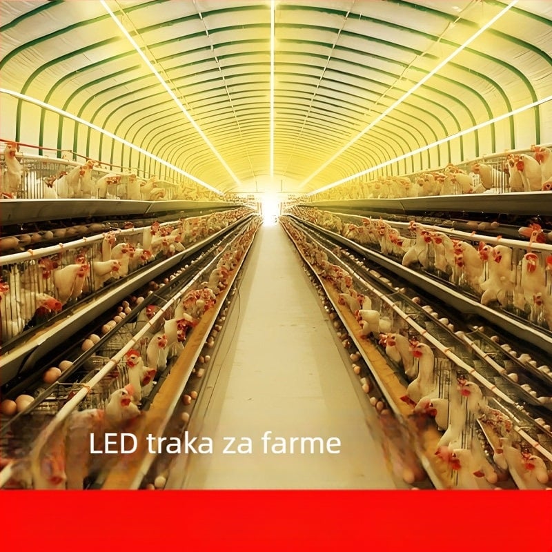 220V samoljepljiva linearna LED traka, vanjska vodootporna silikonska, visoka svjetlina, jednofarbna, stropno osvjetljenje