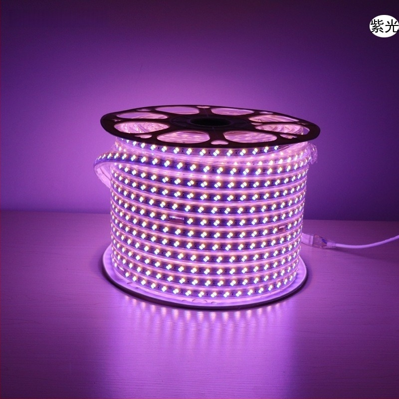 220V LED traka s tri boje, ultra jaka za ambijent dnevnog boravka, vodootporna za vanjsku upotrebu, traka za strop s promjenom boje