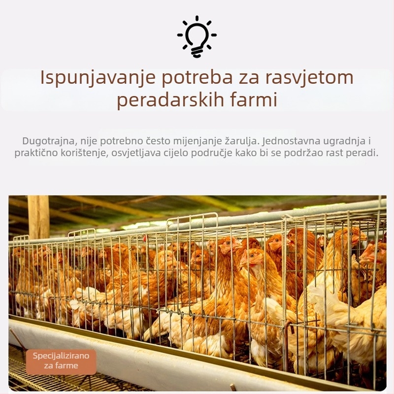 Žuta topla žarulja za uzgoj peradi, E27 baza, lampica za rast pilića