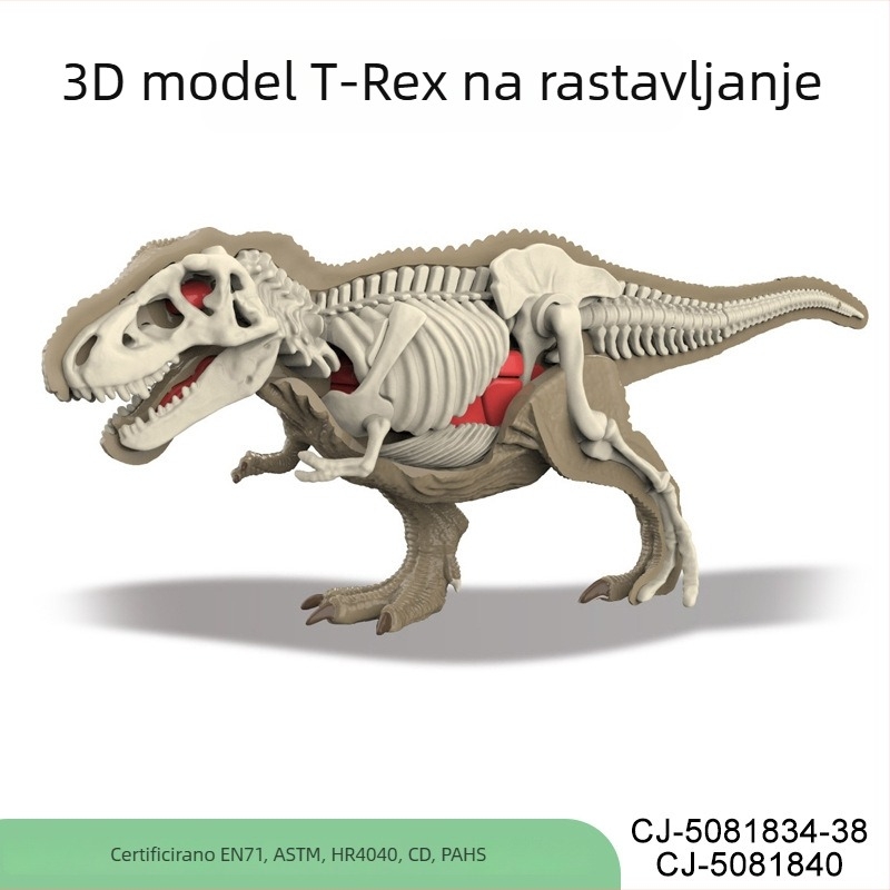 Arheološka edukativna igra s fosilima dinosaura za djecu – DIY sklapanje skeleta i anatomija životinja
