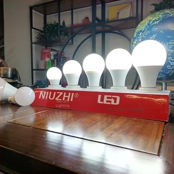 LED žarulja s plastičnim premazom aluminija, s priključkom E27 ili B22 bajonetom, energetcki štedljiva, oblik A60
