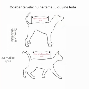 Odjeća za kućne ljubimce s tetovažnim uzorkom, prozračna, protiv opadanja dlake, za četiri šape, personalizirana, zabavna.