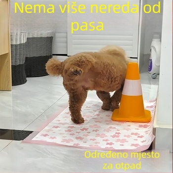 Toalet za pse od nehrđajućeg čelika za fiksnu urinaciju i defekaciju, univerzalni alat za trening na toaletama