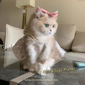Modna haljina za mačke s naramenicama za Male mačiće Maine Coon/Ragdoll, slatka haljina u stilu princeze, zlatni gradijent.