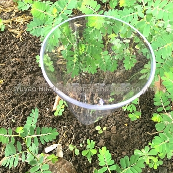 Plastični kišomjer za vrt, bijeli prozirni konusni mjerni posudom, za ugradnju u zemlju