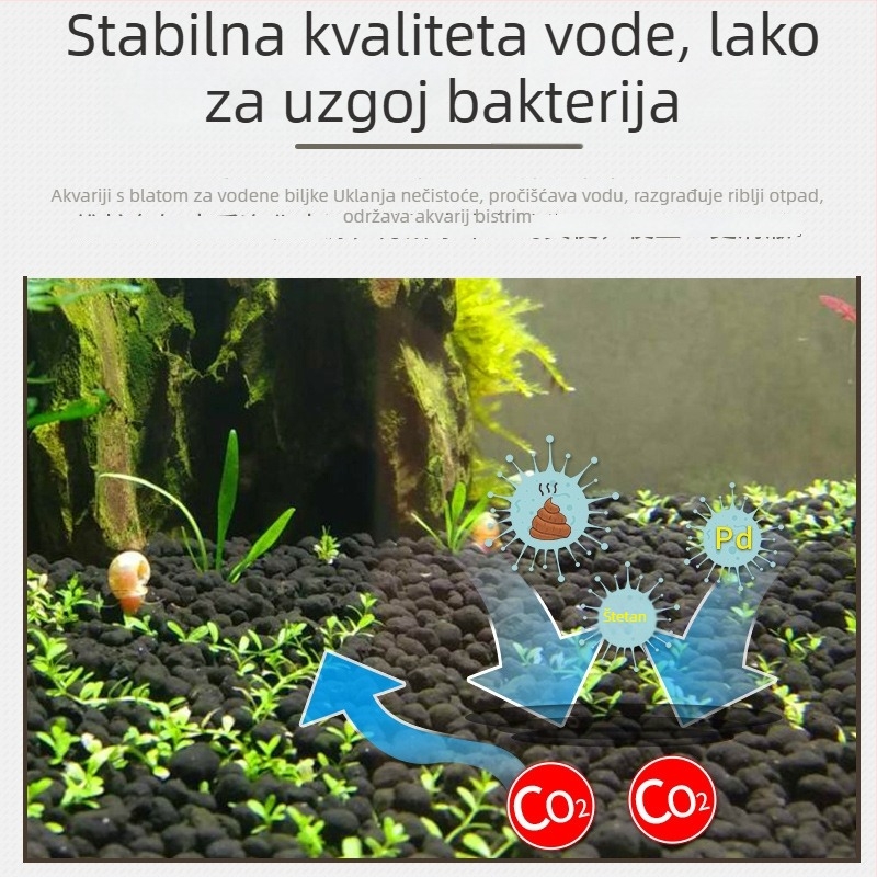 Hranjiva podloga za akvarij s biljkama: dno pijesak i mulj bogat hranjivim tvarima, mahovina – mikro krajolik