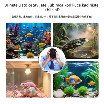 Unutarnja kamera za nadzor