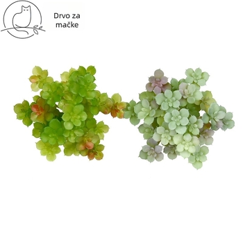 Umjetna sukulentna biljka, 11 cm, s udubljenim listovima, Sedum, plastična dekorativna biljka za stol