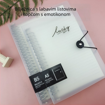 B5 bilježnica s mrežastim i praznim stranicama, prozirni omotač, zamjenjivi jezgrom, 60 listova, 26 rupa