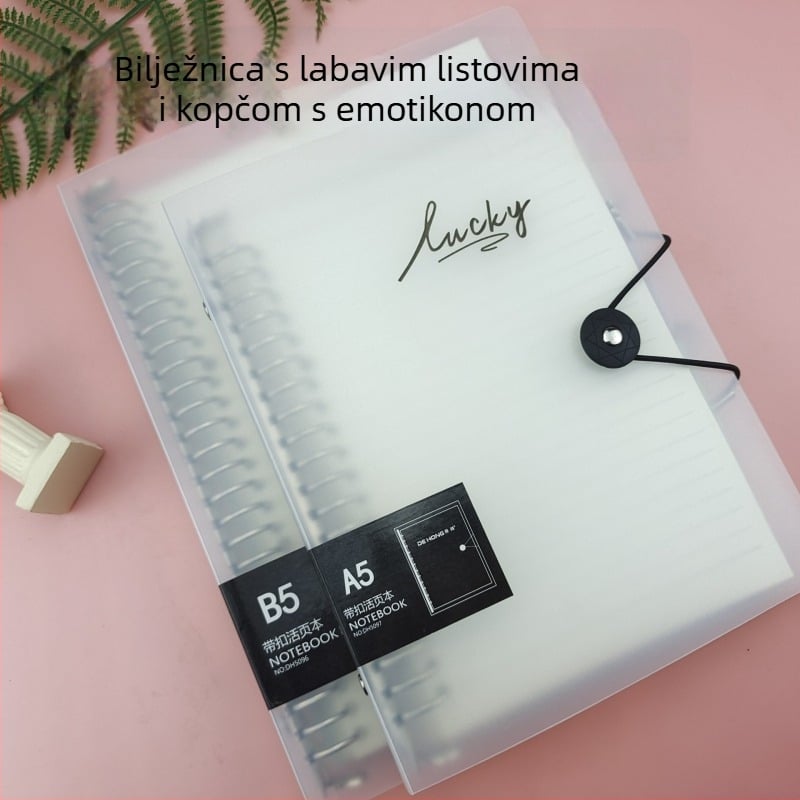 B5 bilježnica s mrežastim i praznim stranicama, prozirni omotač, zamjenjivi jezgrom, 60 listova, 26 rupa