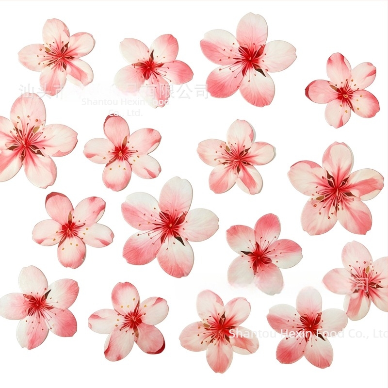 Jestive cvjetne ukrase od rižinog papira za pečenje i posluživanje, motiv trešnjinog cvijeta