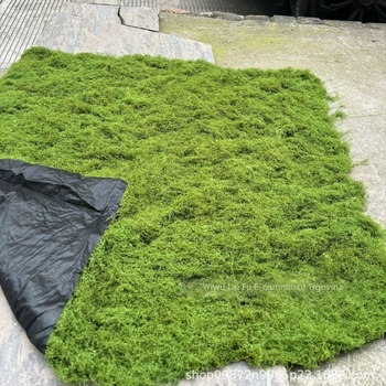 Umjetna mahovina za mikropejzažnu dekoraciju: dekorativna mahovina za travu, bonsai i posude.