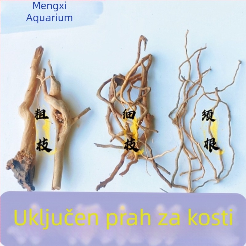 Set za ukrašavanje akvarija: korijeni rododendrona, potopljeno drvo, debeli i tanki izdanci te skelet biljaka