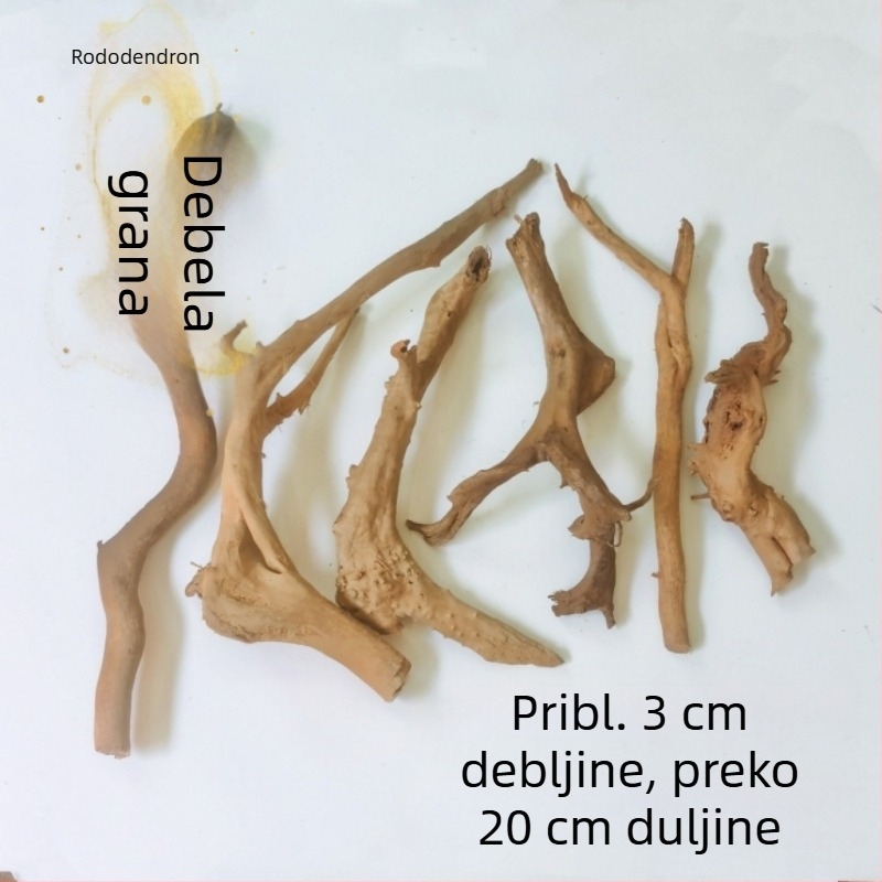 Set za ukrašavanje akvarija: korijeni rododendrona, potopljeno drvo, debeli i tanki izdanci te skelet biljaka