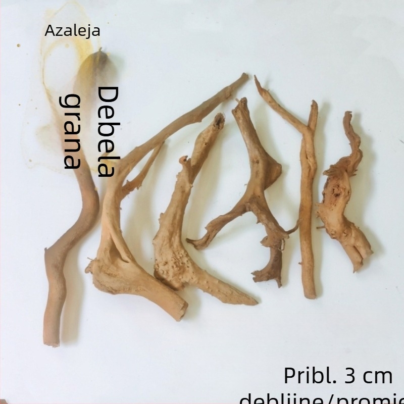 Set za ukrašavanje akvarija: korijeni rododendrona, potopljeno drvo, debeli i tanki izdanci te skelet biljaka