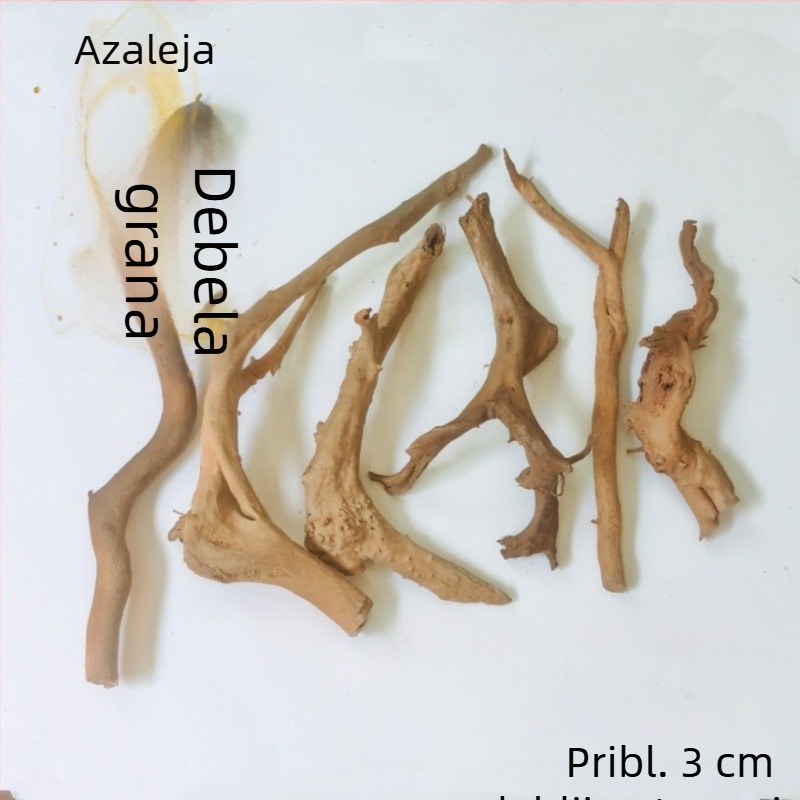 Set za ukrašavanje akvarija: korijeni rododendrona, potopljeno drvo, debeli i tanki izdanci te skelet biljaka