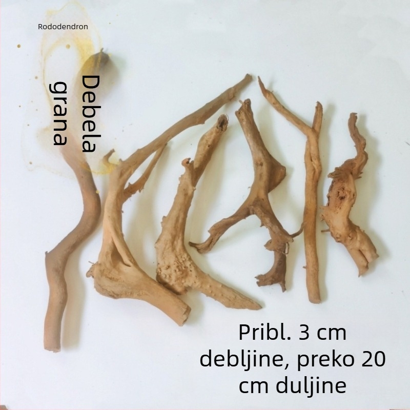 Set za ukrašavanje akvarija: korijeni rododendrona, potopljeno drvo, debeli i tanki izdanci te skelet biljaka