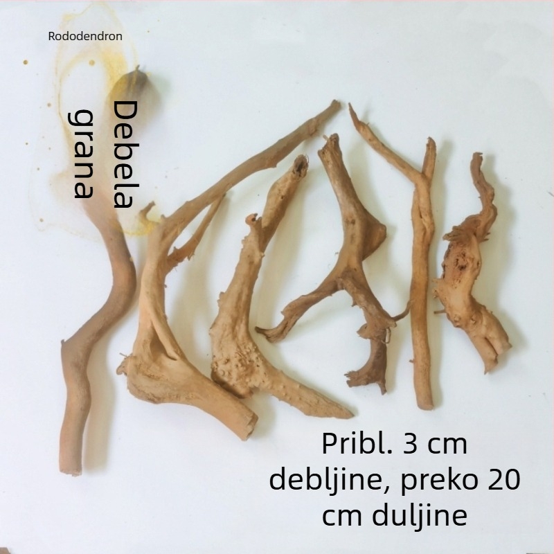 Set za ukrašavanje akvarija: korijeni rododendrona, potopljeno drvo, debeli i tanki izdanci te skelet biljaka