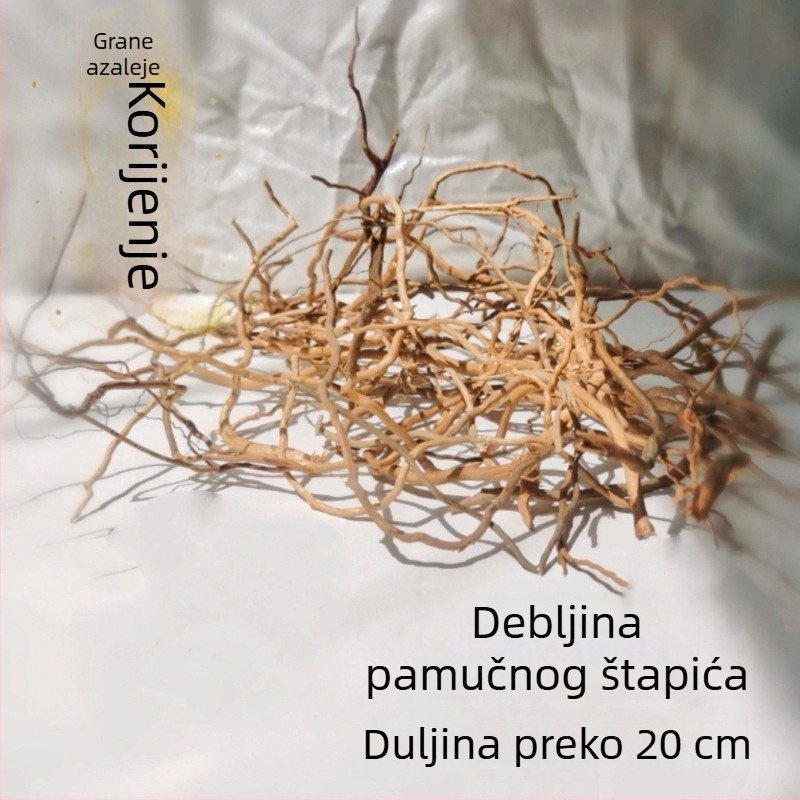 Set za ukrašavanje akvarija: korijeni rododendrona, potopljeno drvo, debeli i tanki izdanci te skelet biljaka