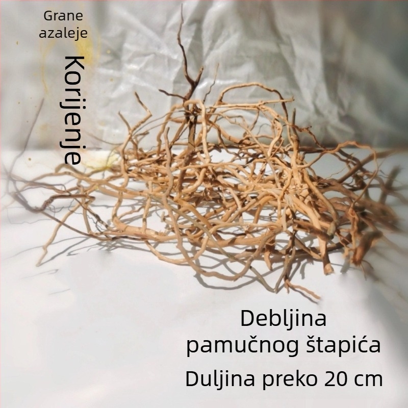 Set za ukrašavanje akvarija: korijeni rododendrona, potopljeno drvo, debeli i tanki izdanci te skelet biljaka