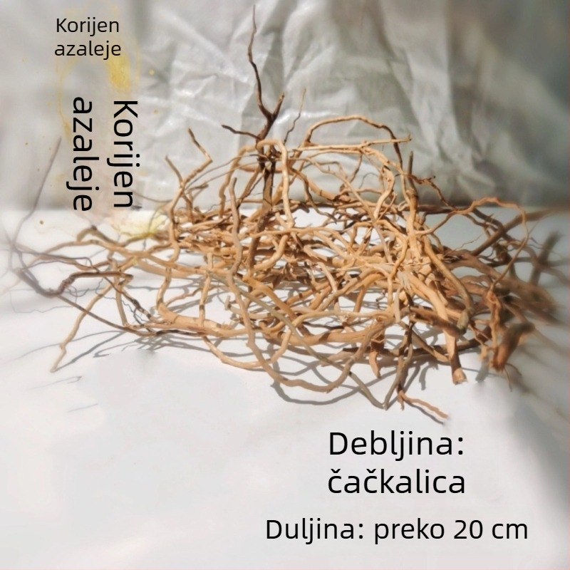 Set za ukrašavanje akvarija: korijeni rododendrona, potopljeno drvo, debeli i tanki izdanci te skelet biljaka