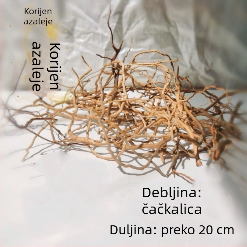 Set za ukrašavanje akvarija: korijeni rododendrona, potopljeno drvo, debeli i tanki izdanci te skelet biljaka
