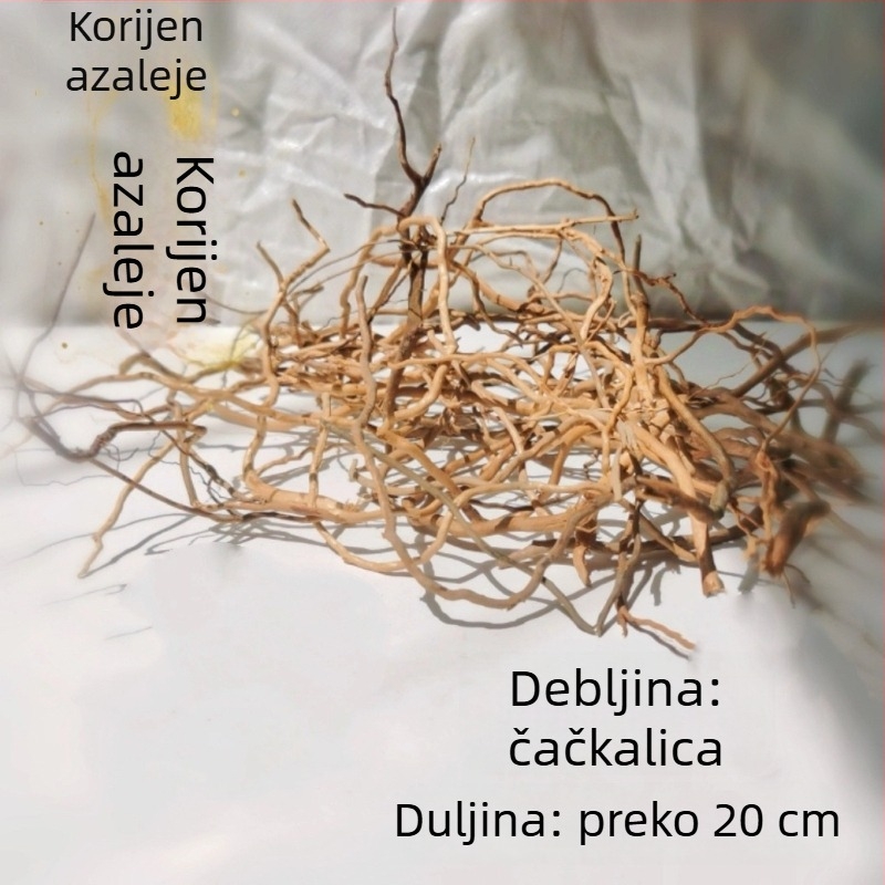 Set za ukrašavanje akvarija: korijeni rododendrona, potopljeno drvo, debeli i tanki izdanci te skelet biljaka