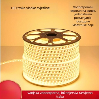 LED traka 220V s dvostrukim redom od 120 LED dioda, za dekoraciju dnevnog boravka i vanjsko osvjetljenje, vodootporna linearna rasvjeta