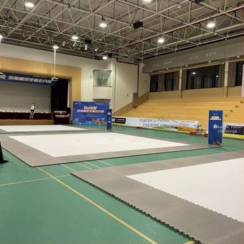 Profesionalni tatami za Taekwondo za natjecanja, EVA sklopiva sportska podloga, debljina 4 cm, ekološka podloga za fitness