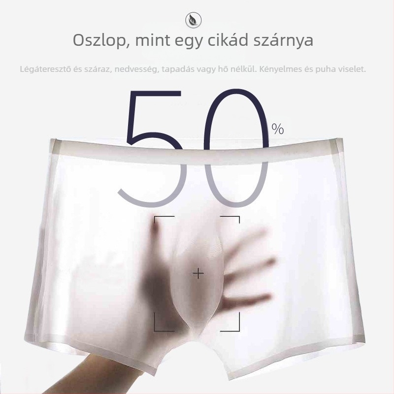 120 egyrészes, varratmentes nejlon Ice Silk férfi alsónemű boxeralsó gyártók lélegző, ultravékony punch punch D