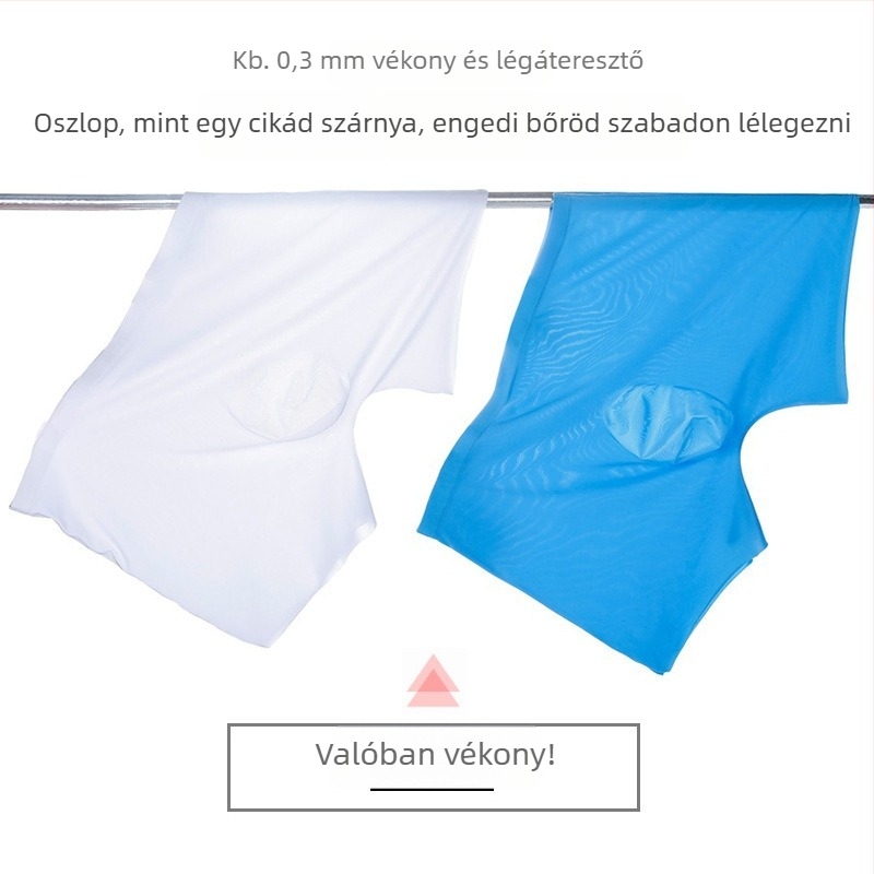 120 egyrészes, varratmentes nejlon Ice Silk férfi alsónemű boxeralsó gyártók lélegző, ultravékony punch punch D