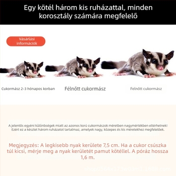 Mézeszsákos húzókötél kifelé menekülésgátló harapásgátló kötél hörcsög Golden Bear mókus kisállat kellékek kellékek nagykereskedelem