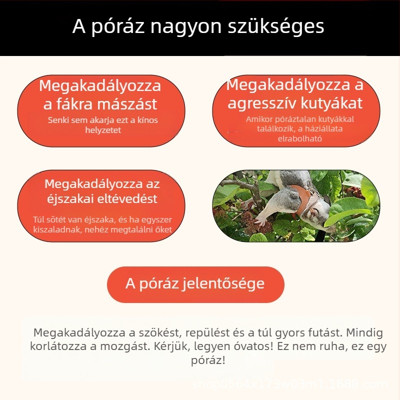 Mézeszsákos húzókötél kifelé menekülésgátló harapásgátló kötél hörcsög Golden Bear mókus kisállat kellékek kellékek nagykereskedelem