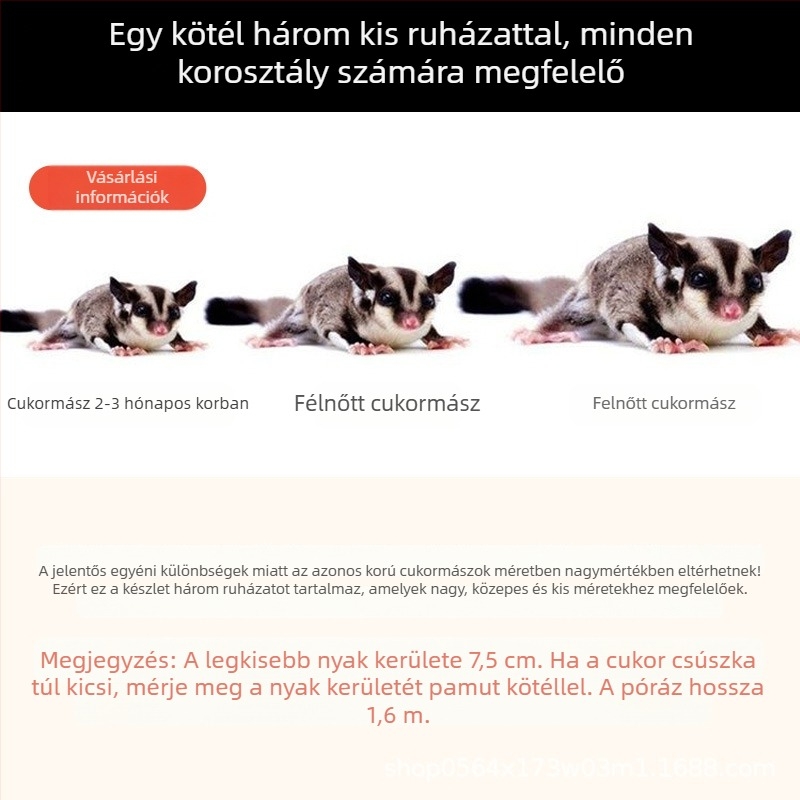 Mézeszsákos húzókötél kifelé menekülésgátló harapásgátló kötél hörcsög Golden Bear mókus kisállat kellékek kellékek nagykereskedelem