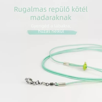 Papagáj légykötél Rugalmasság, nem fáj a lábnak Ultrakönnyű edzőfekete főnix tigrisbőr bazsarózsa bokalánc Bokalánc Sétáló madár kivezető kötél