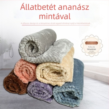 Gyári közvetlen kutyatakaró macskatakaró őszi és téli meleg, vastagított ananász bársony kennelszőnyeg határokon átnyúló nagykereskedelem