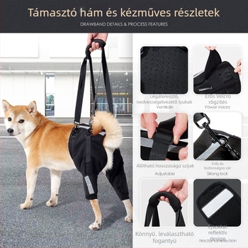 Kutya segédöv Az Amazon új, lélegző halszálkavédő gerinctámasztó öve Kutyakiképzés emeleti kisállatvédő felszerelés