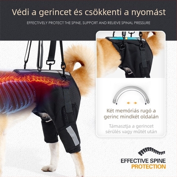 Kutya segédöv Az Amazon új, lélegző halszálkavédő gerinctámasztó öve Kutyakiképzés emeleti kisállatvédő felszerelés