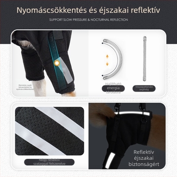 Kutya segédöv Az Amazon új, lélegző halszálkavédő gerinctámasztó öve Kutyakiképzés emeleti kisállatvédő felszerelés