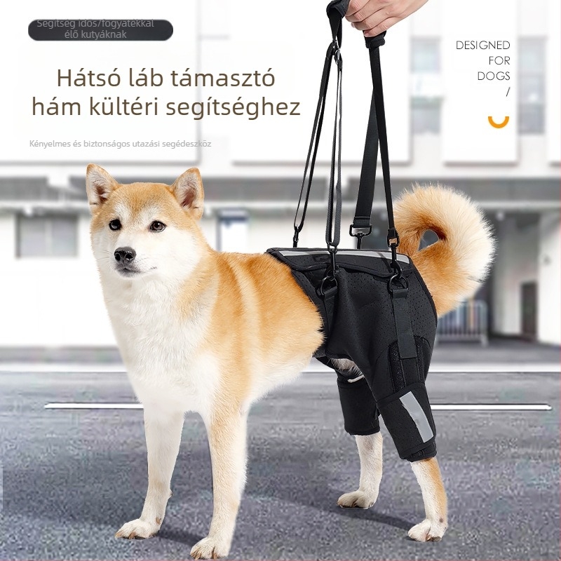 Kutya segédöv Az Amazon új, lélegző halszálkavédő gerinctámasztó öve Kutyakiképzés emeleti kisállatvédő felszerelés