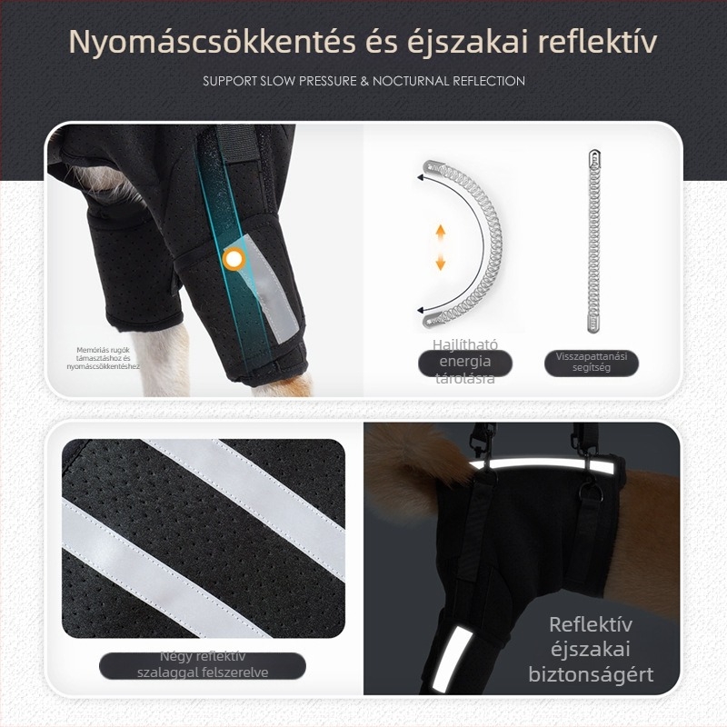 Kutya segédöv Az Amazon új, lélegző halszálkavédő gerinctámasztó öve Kutyakiképzés emeleti kisállatvédő felszerelés