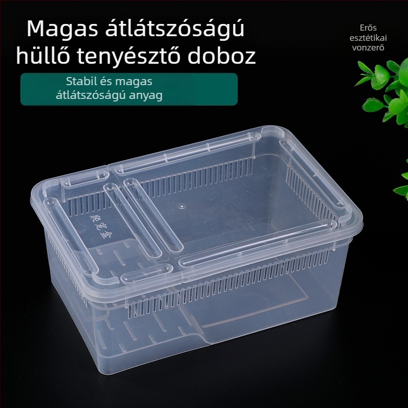 Gyári nagykereskedelmi hüllő etetődoboz kisállat csiga mászó kisállat doboz remeterák szarvasbéka gyík rovar doboz mászó kisállat doboz