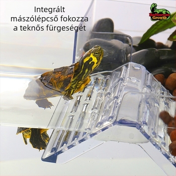 Brazil teknős akril teknős szárítóasztal mászó teknős edény tájkép teknős doboz teknős átlátszó magas vízállás úszó sziget teknős asztal szárítás hátul